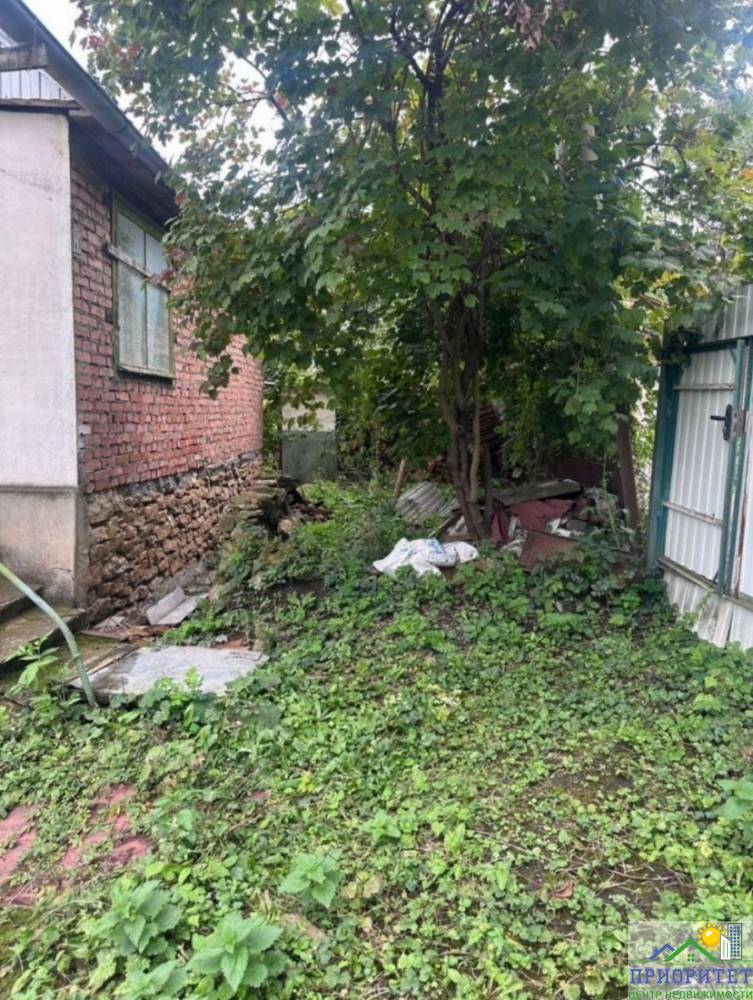 photo_5260650053985047801_y