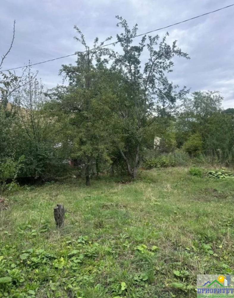 photo_5260650053985047796_y