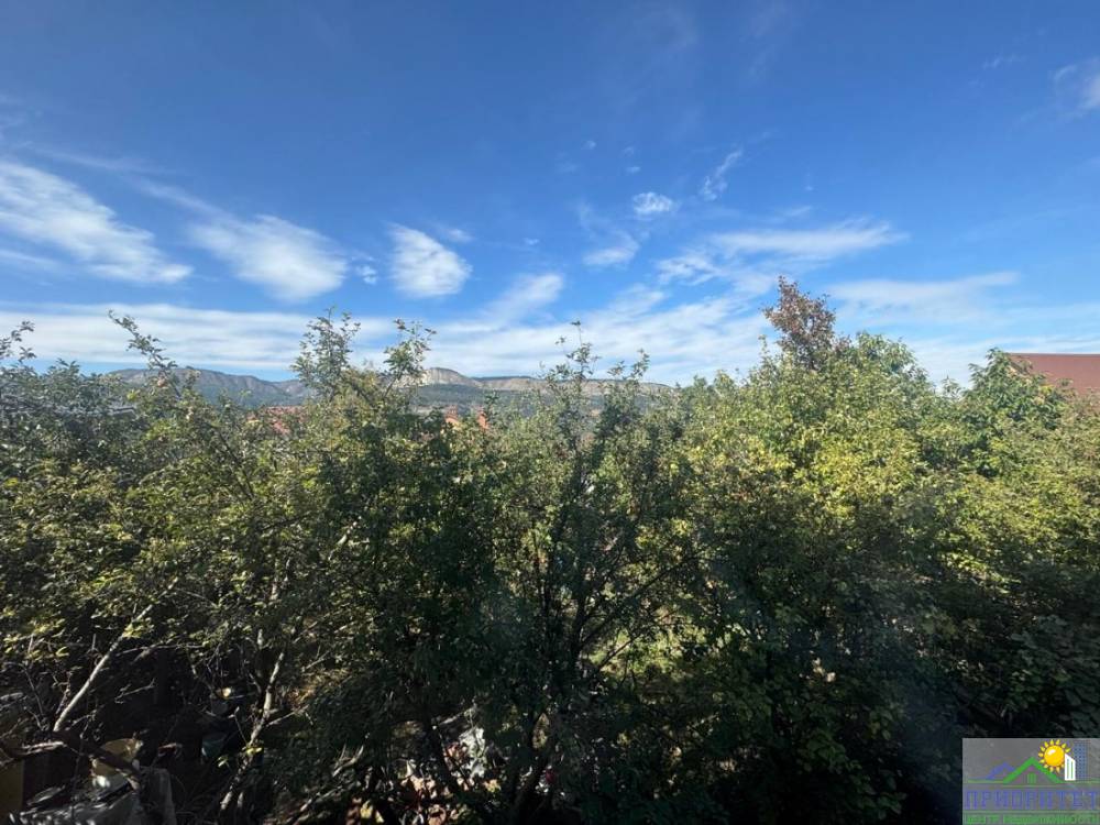 photo_5442663805847539210_y