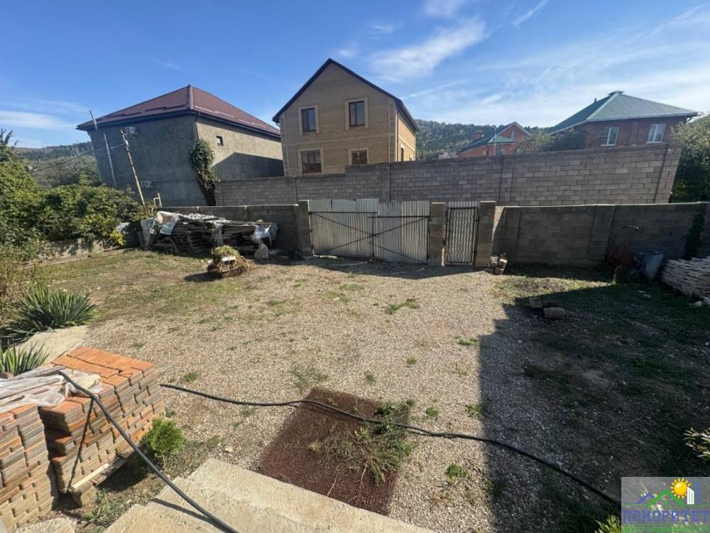 photo_5442663805847539218_y