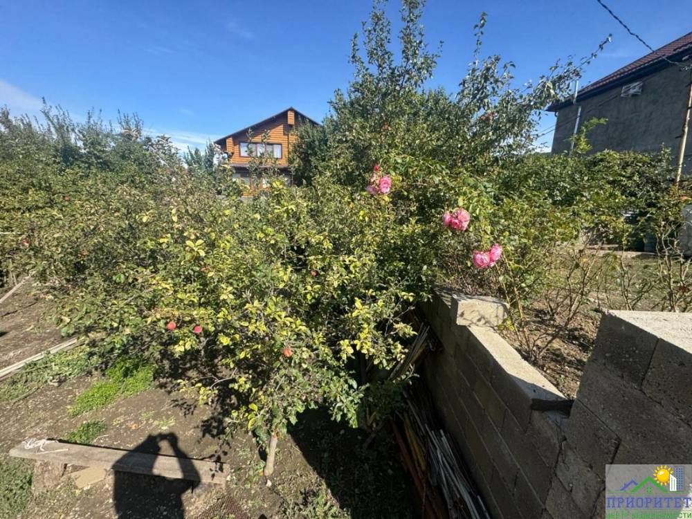 photo_5442663805847539198_y