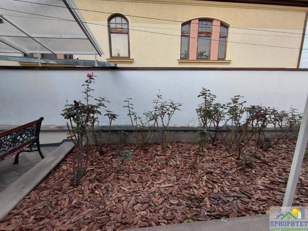 photo_5275988039329059700_y