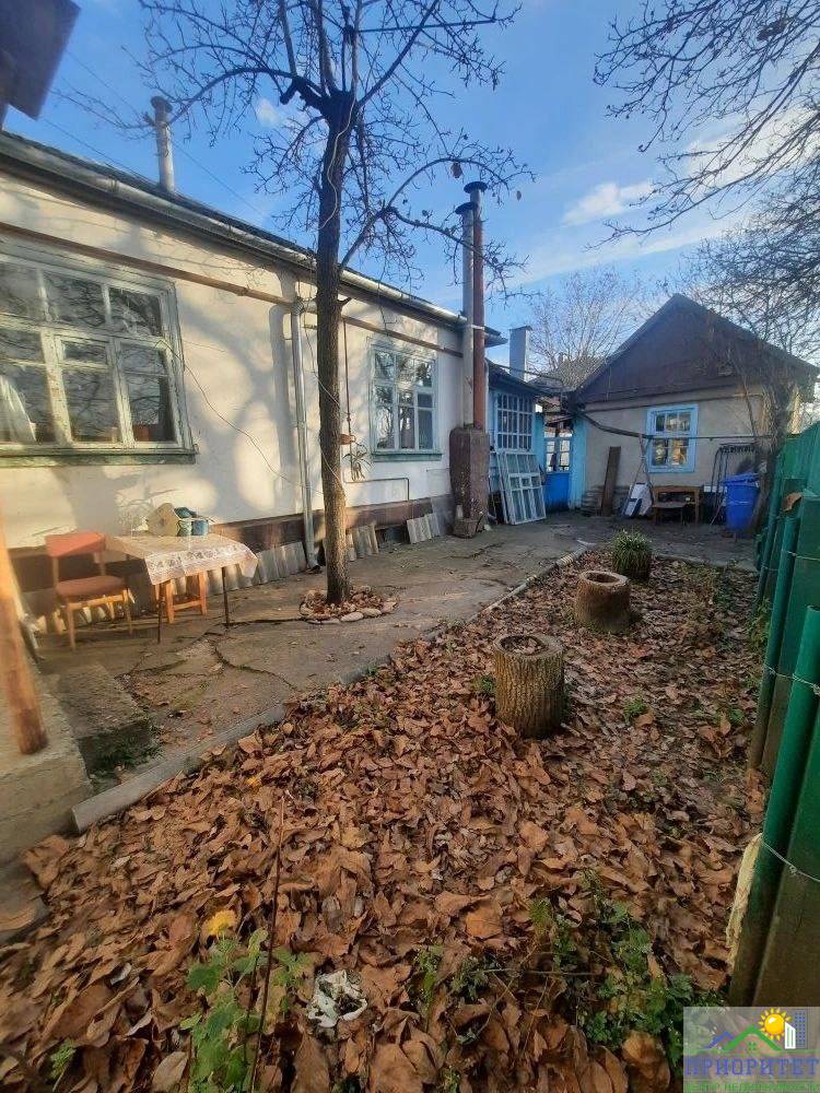 photo_5276346239601547393_y