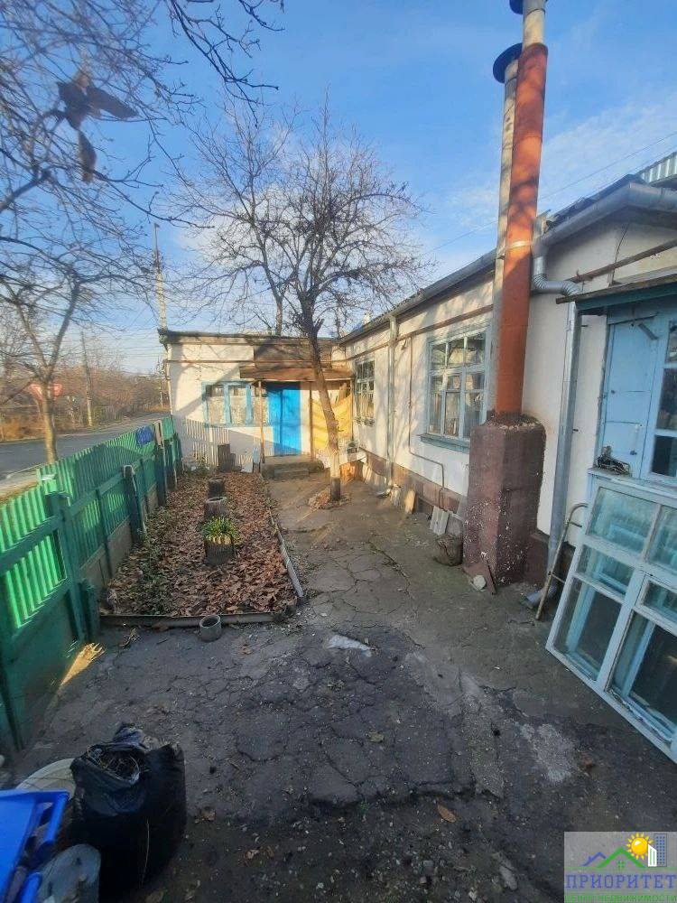 photo_5276346239601547396_y