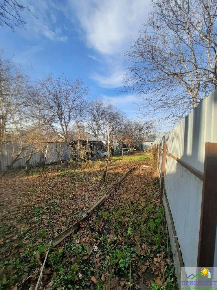 photo_5276346239601547397_y