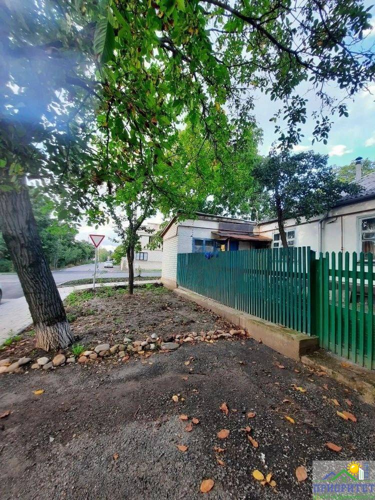 photo_5276346239601547403_y