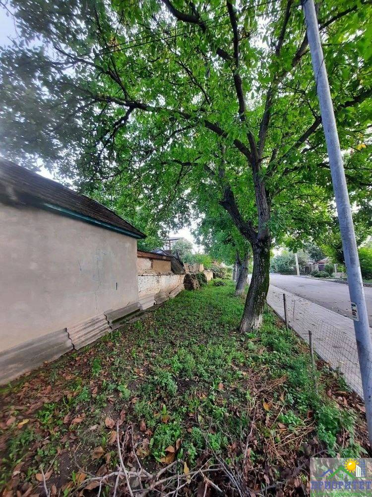 photo_5276346239601547405_y