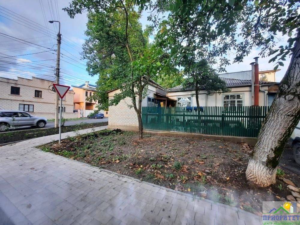 photo_5276346239601547406_y (1)