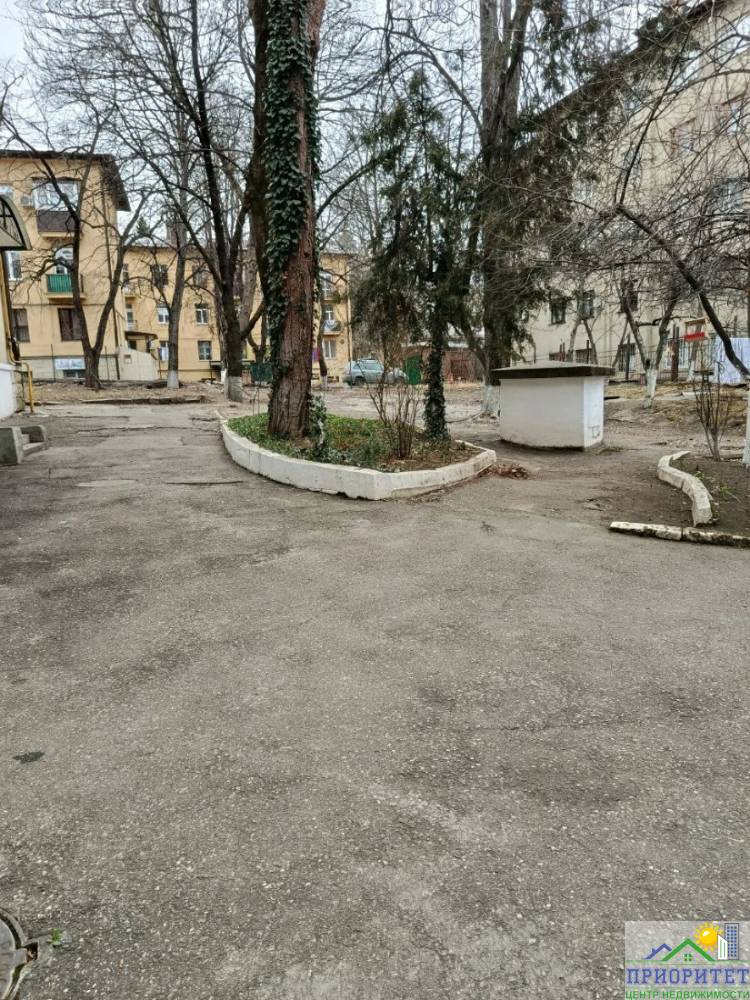 photo_5273982598839473073_y