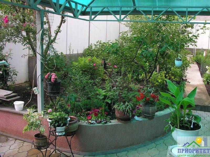 photo_5283063439603471996_x