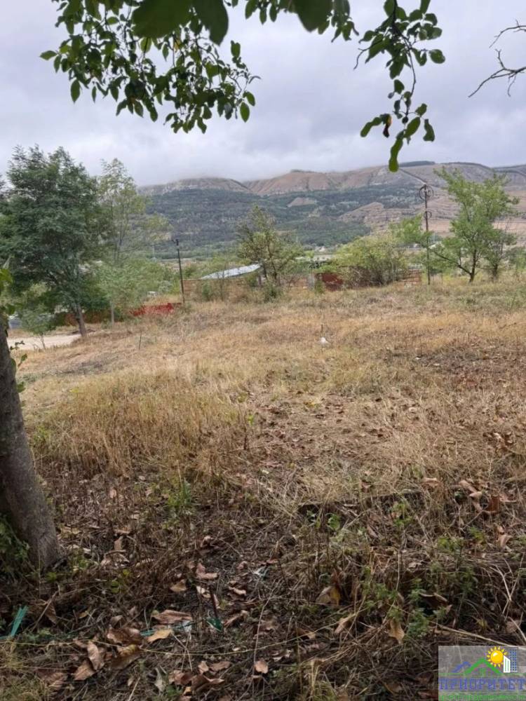 photo_5283063439603472660_y (1)