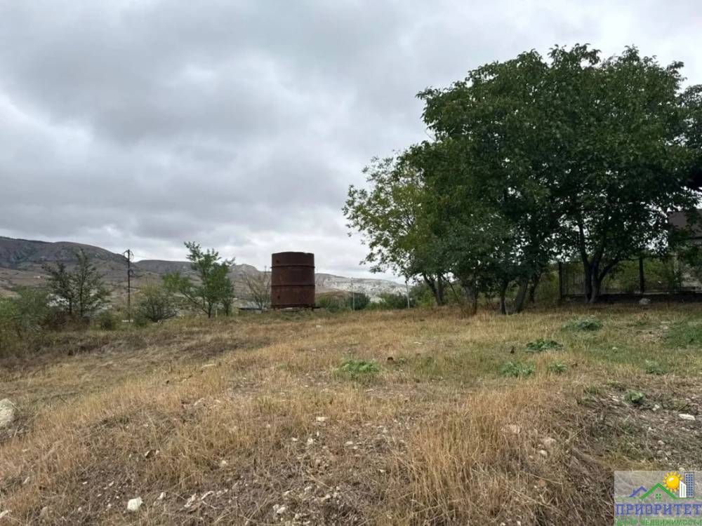 photo_5283063439603472665_y