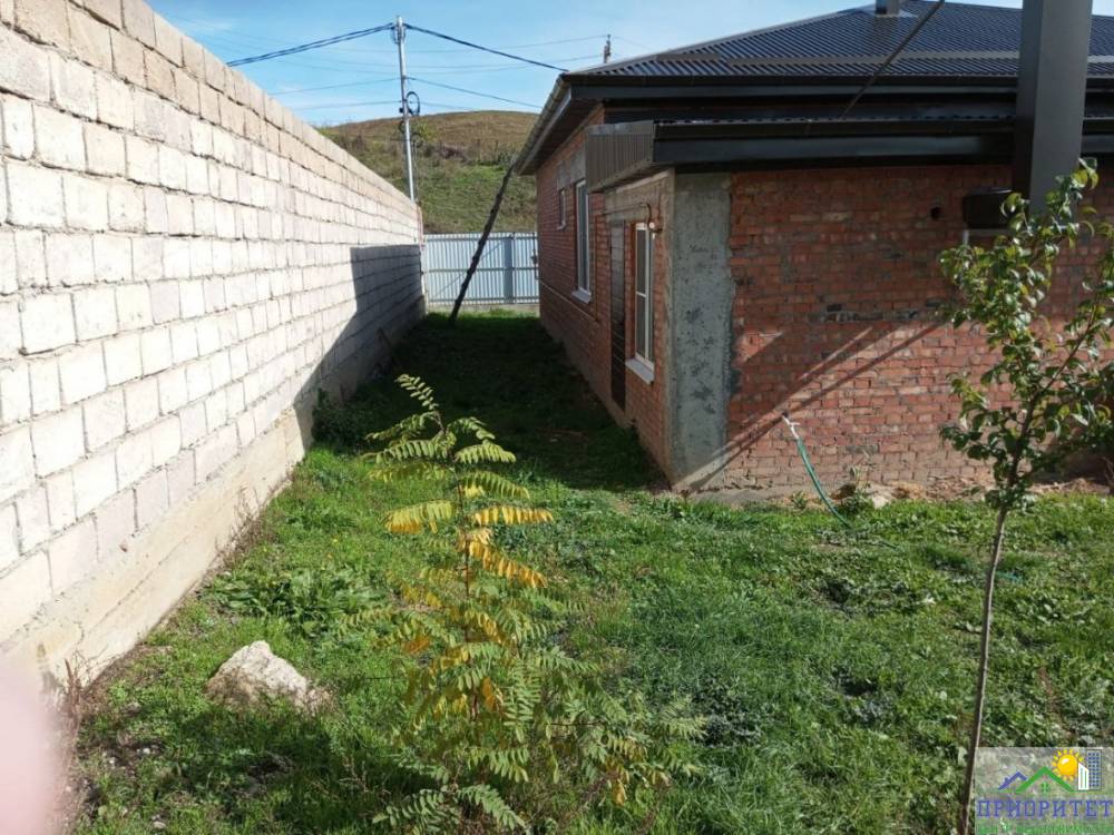 photo_5285490289399240129_y