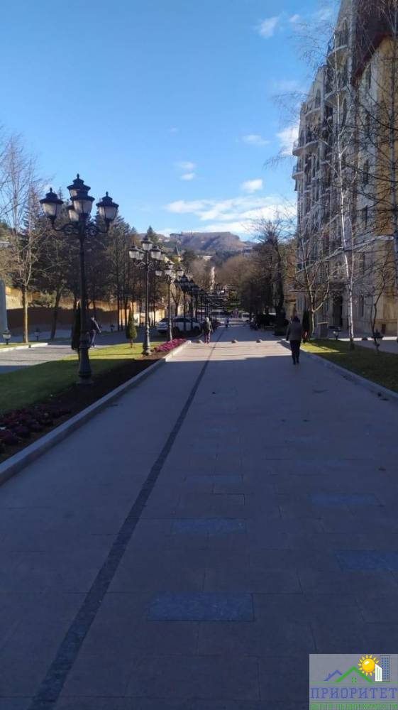 photo_5296467006037104039_y