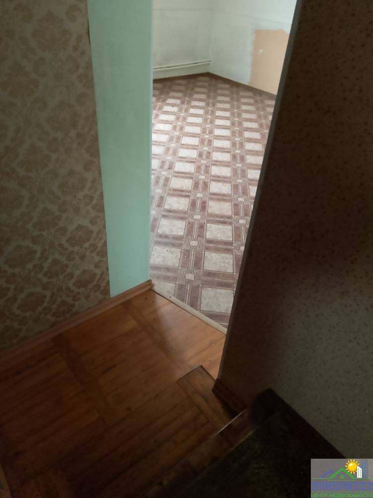 photo_5296467006037104180_y