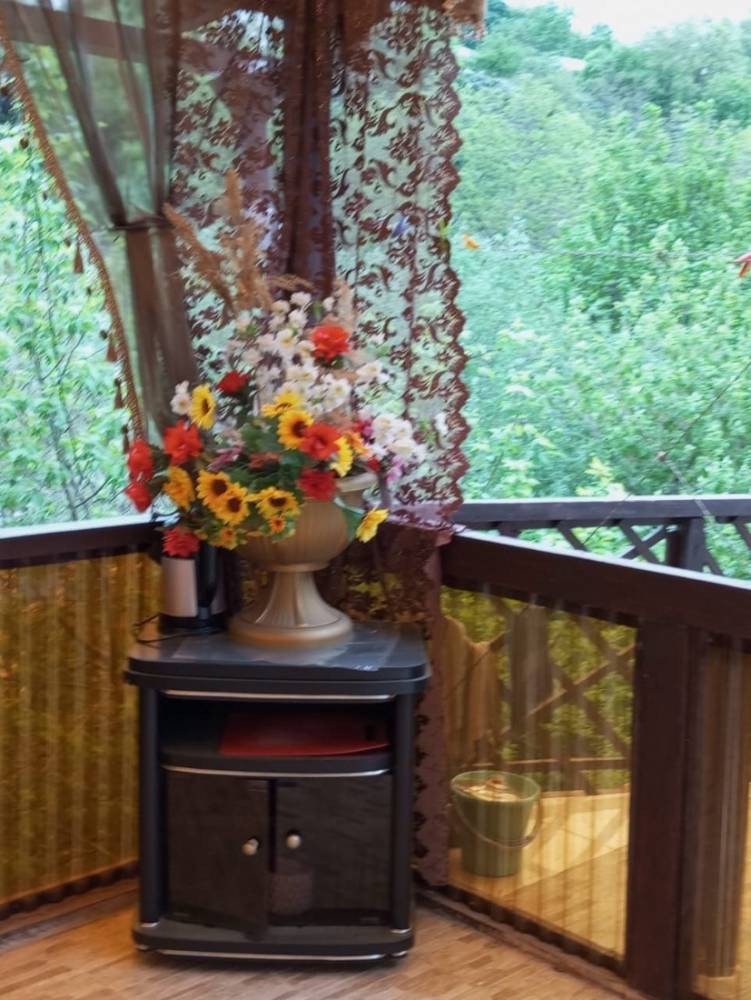 photo_5296467006037104435_y