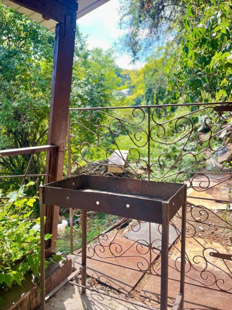 photo_5296467006037104432_y