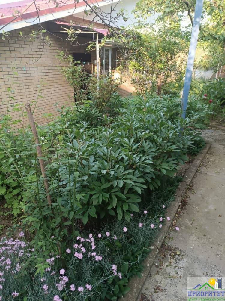 photo_5278734615080277434_y