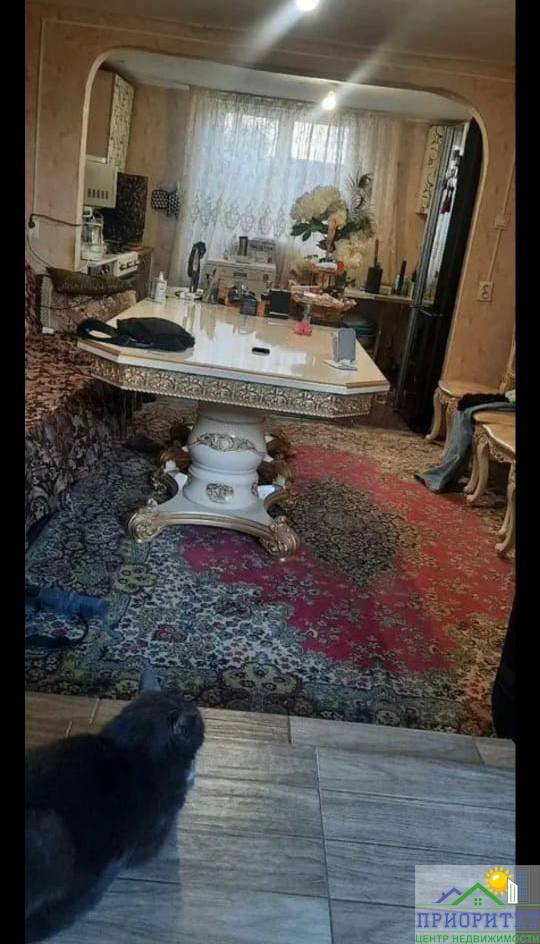 photo_5278523955524343926_y