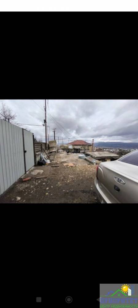 photo_5298708755627316498_y