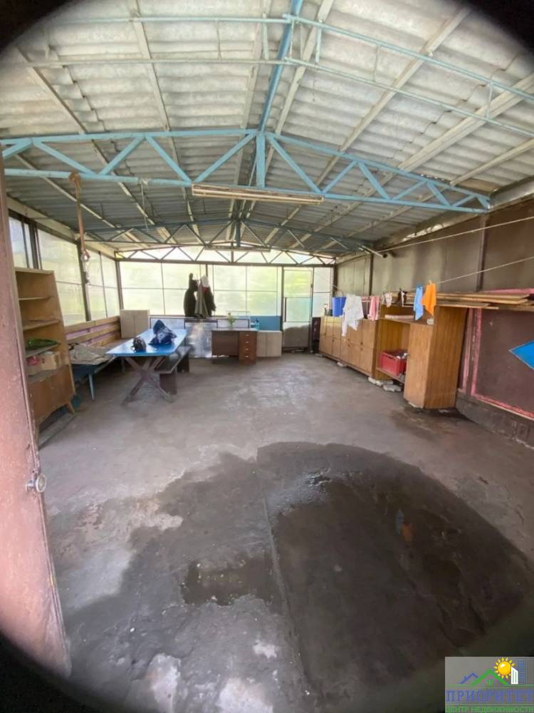 photo_5298718805850790123_y