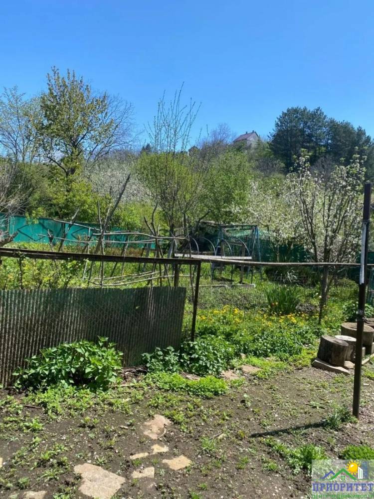 photo_5298718805850790115_y