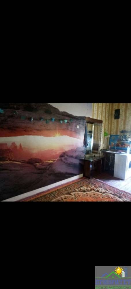 photo_5300991444845794506_y