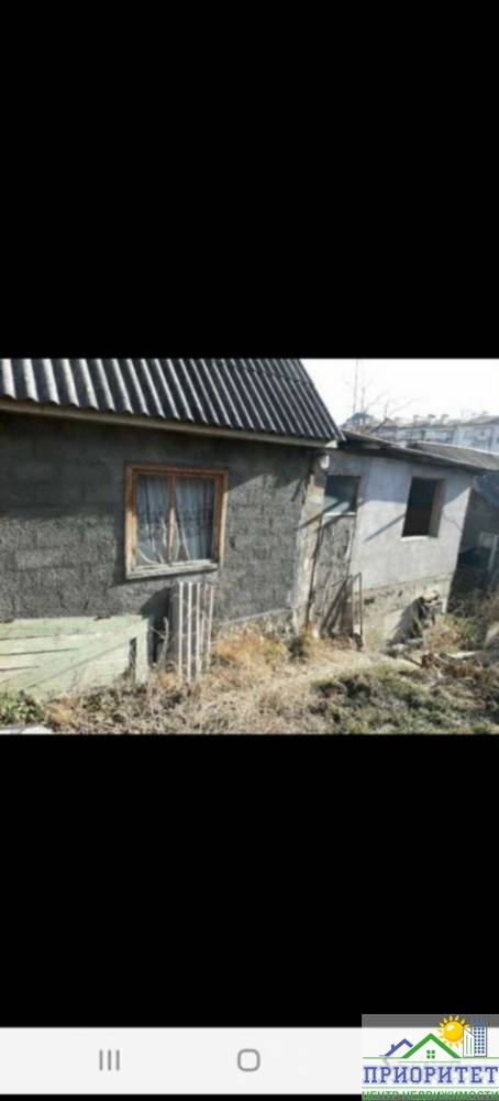 photo_5300991444845794513_y