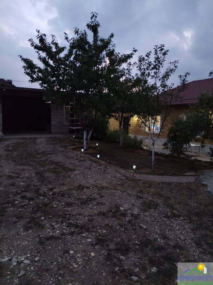 photo_5300941498671109784_y