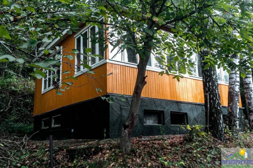 photo_5303353621024019906_y (1)