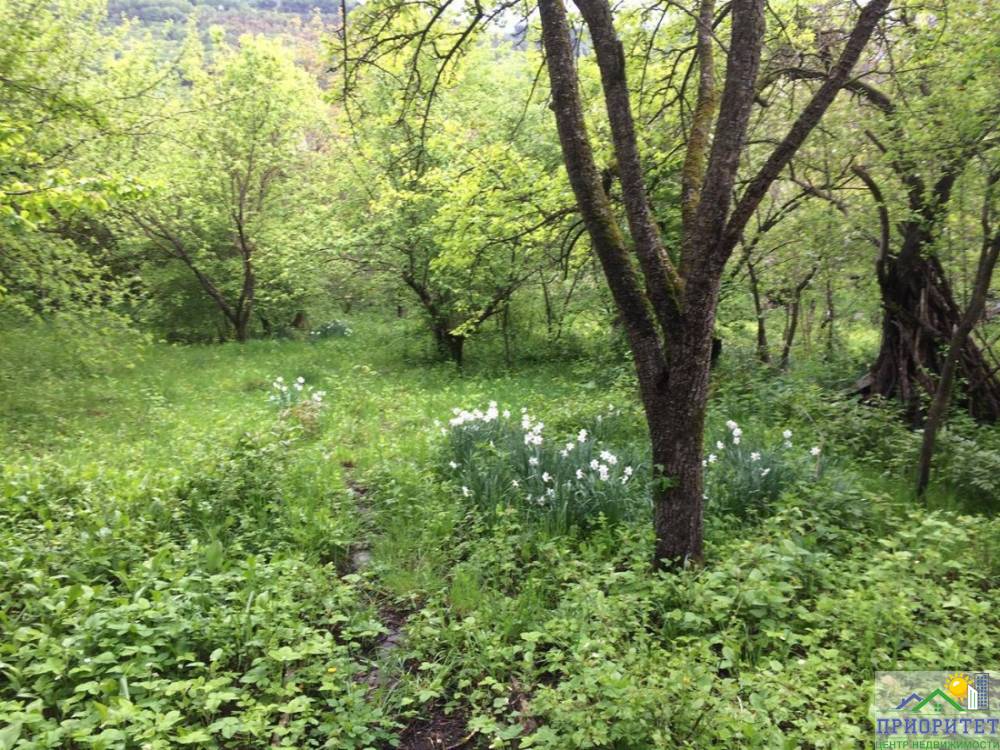 photo_5303353621024019908_y (1)