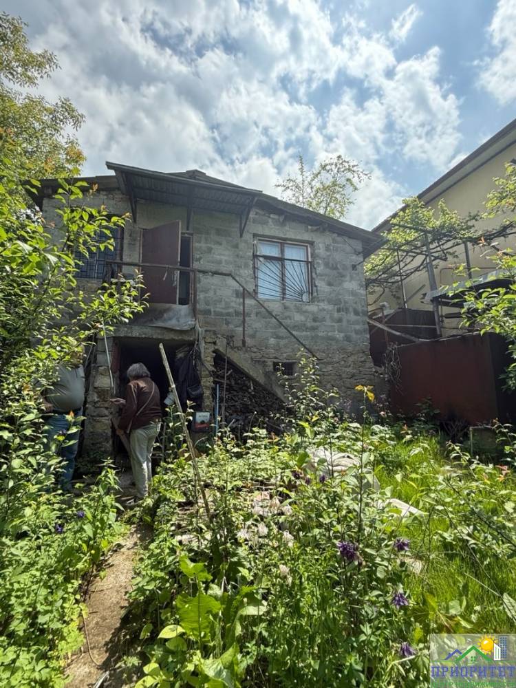 photo_5300999858686727503_y