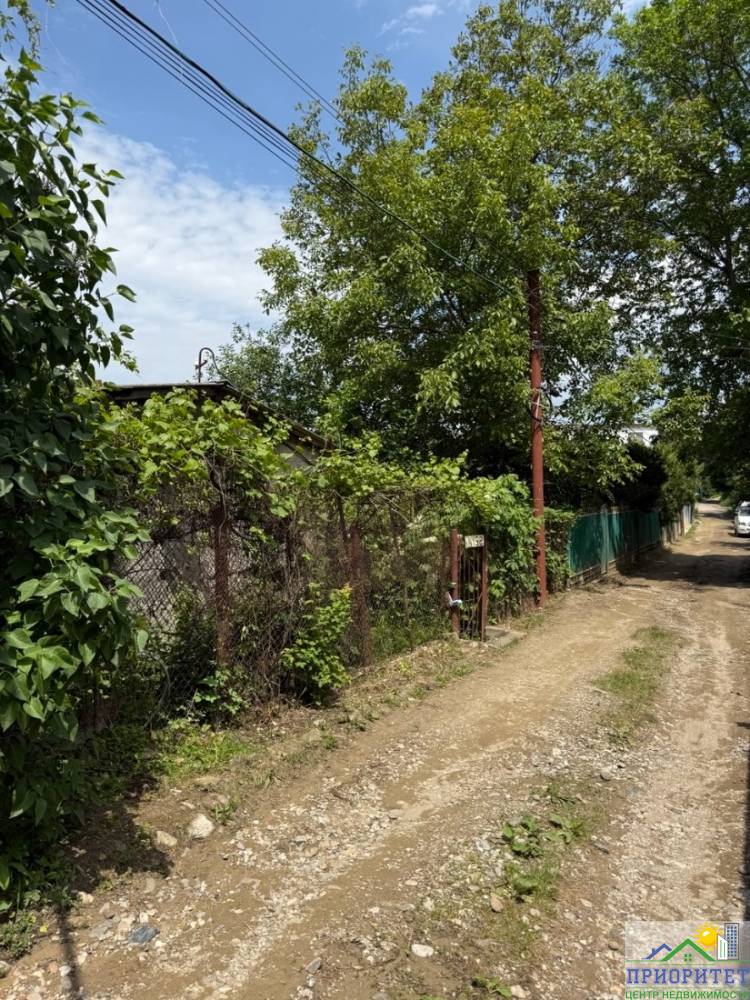 photo_5300999858686727504_y