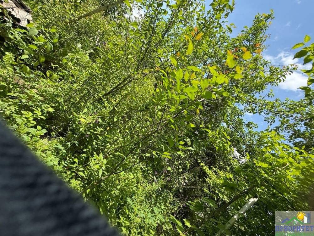 photo_5300999858686727501_y (1)