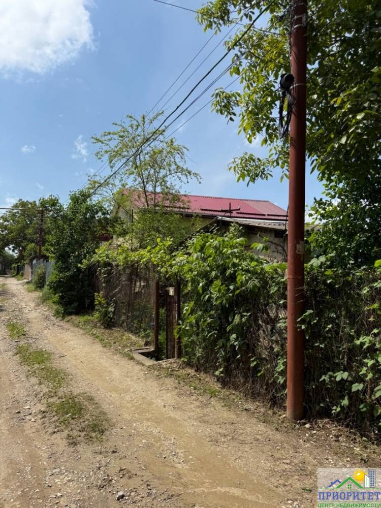 photo_5300999858686727502_y