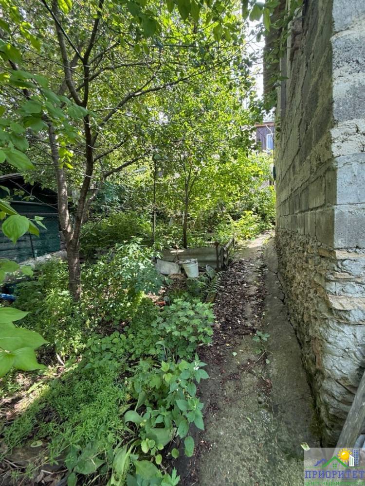 photo_5300999858686727496_y