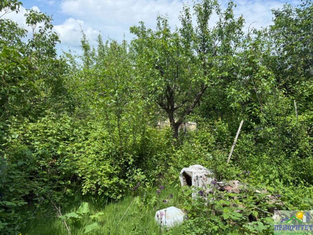 photo_5300999858686727499_y