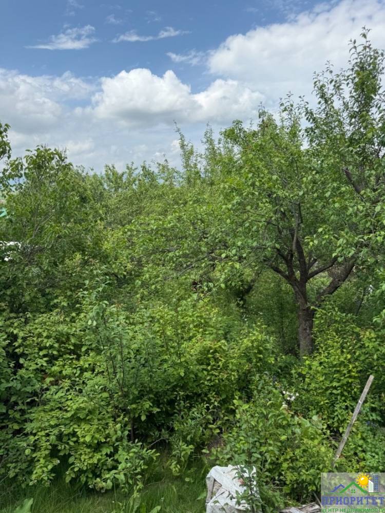 photo_5300999858686727500_y