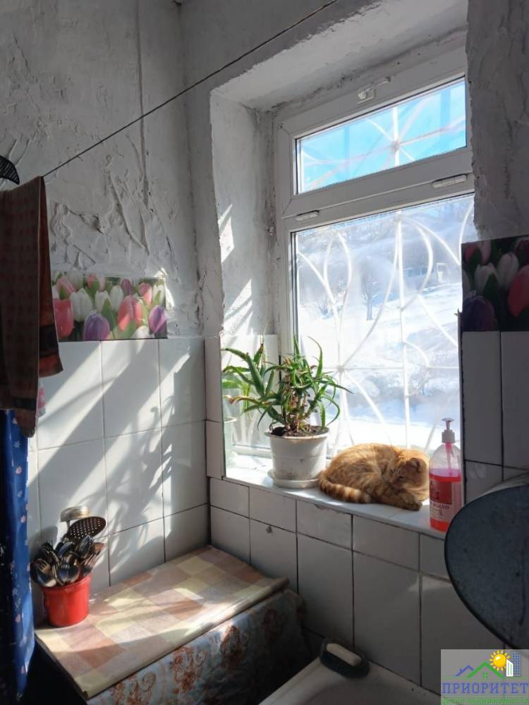 photo_5303193298484794171_y