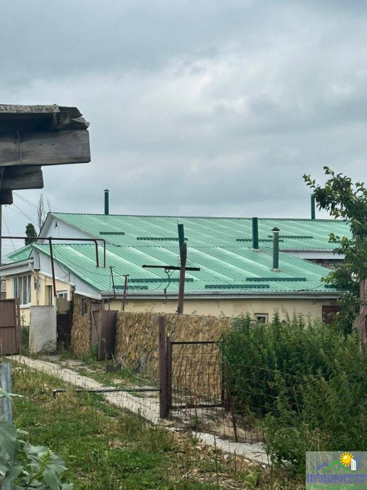 photo_5303312715755493076_y