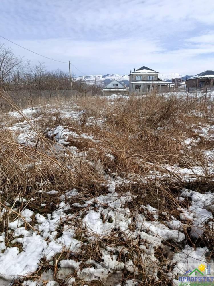 photo_5314428104002442196_y