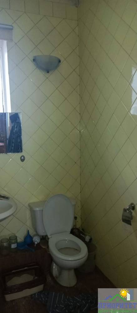 photo_5305666972014023160_y