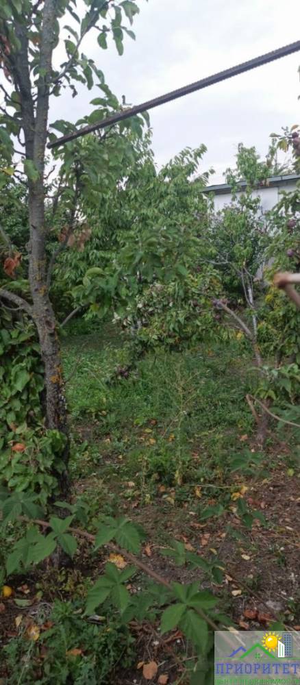 photo_5305666972014023162_y