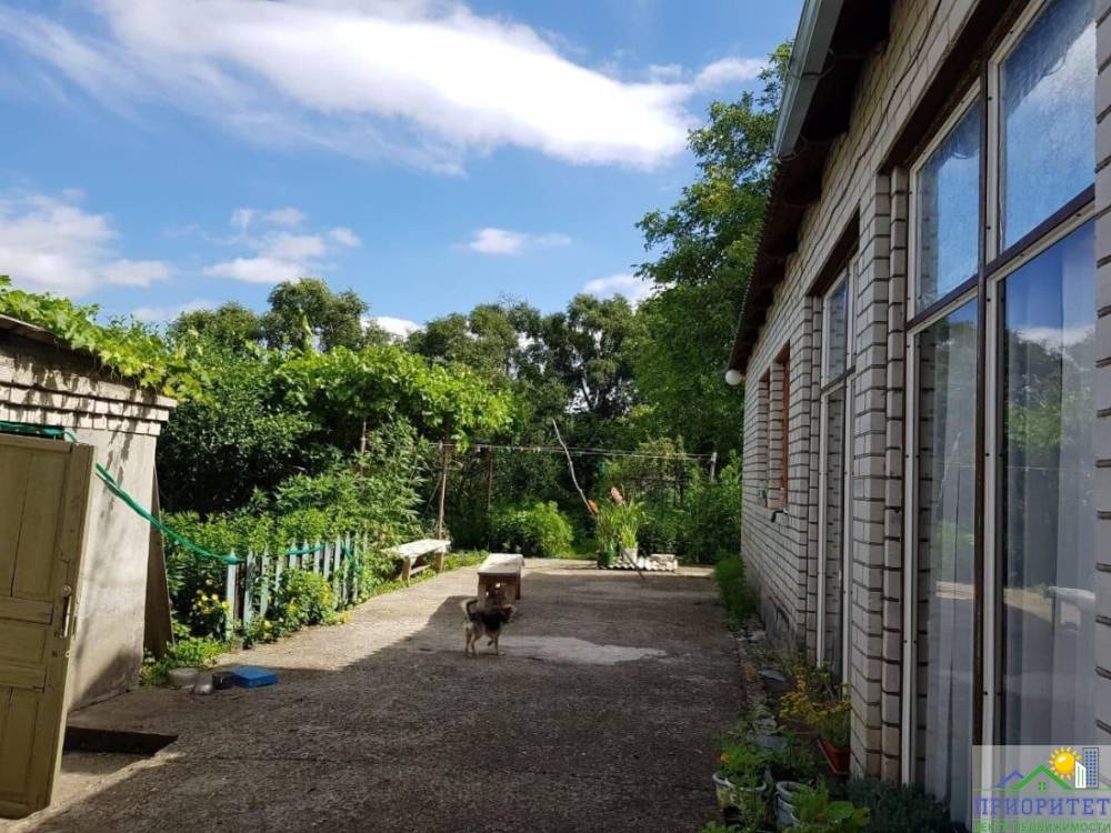 photo_5314494371052852990_y