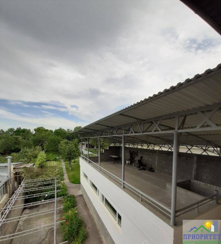 photo_5316993797205988373_x