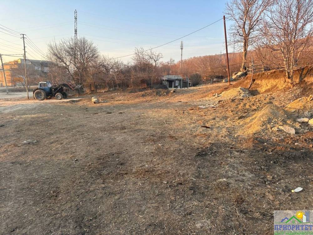 photo_5321464248275768476_y