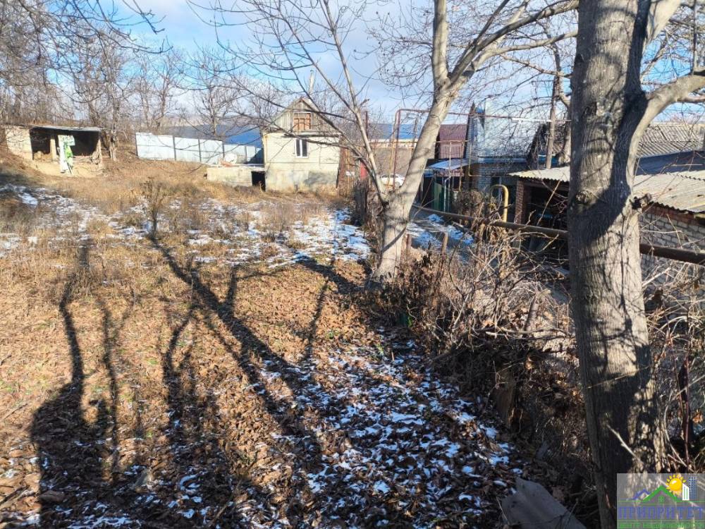 photo_5436053017955339491_y (1)