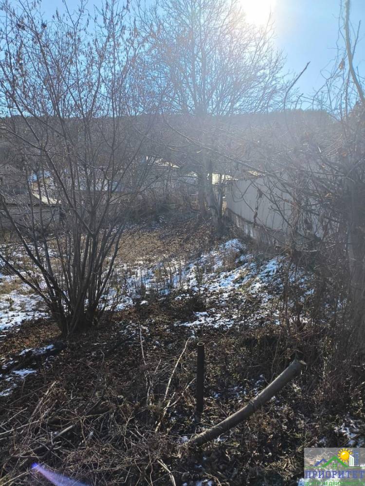 photo_5436053017955339333_y