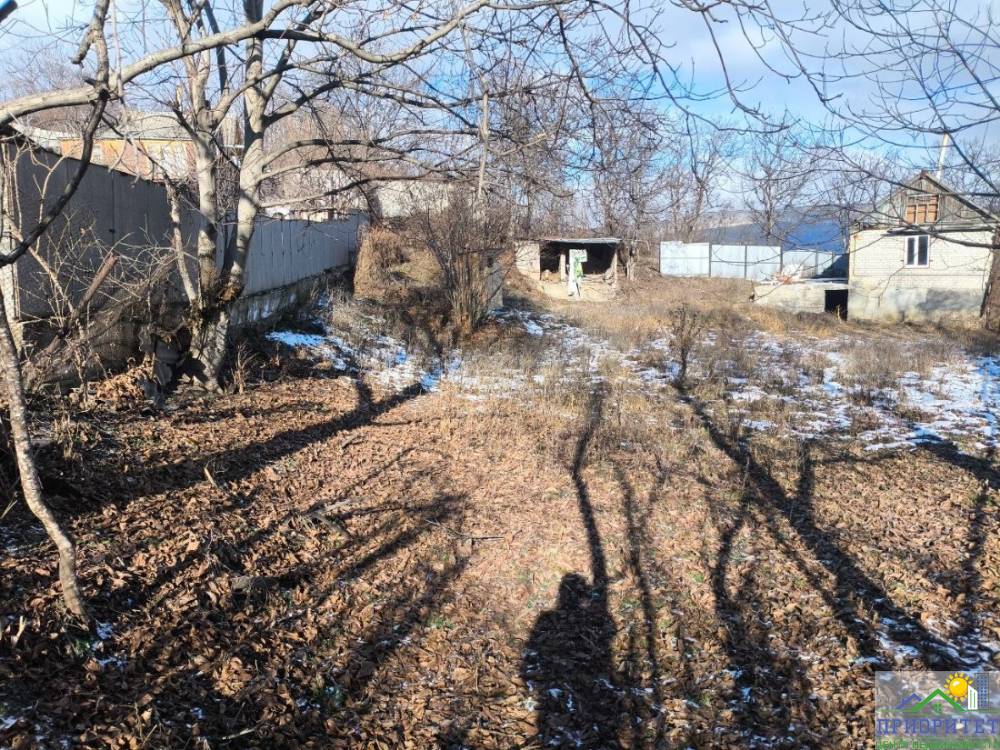 photo_5436053017955339490_y (1)