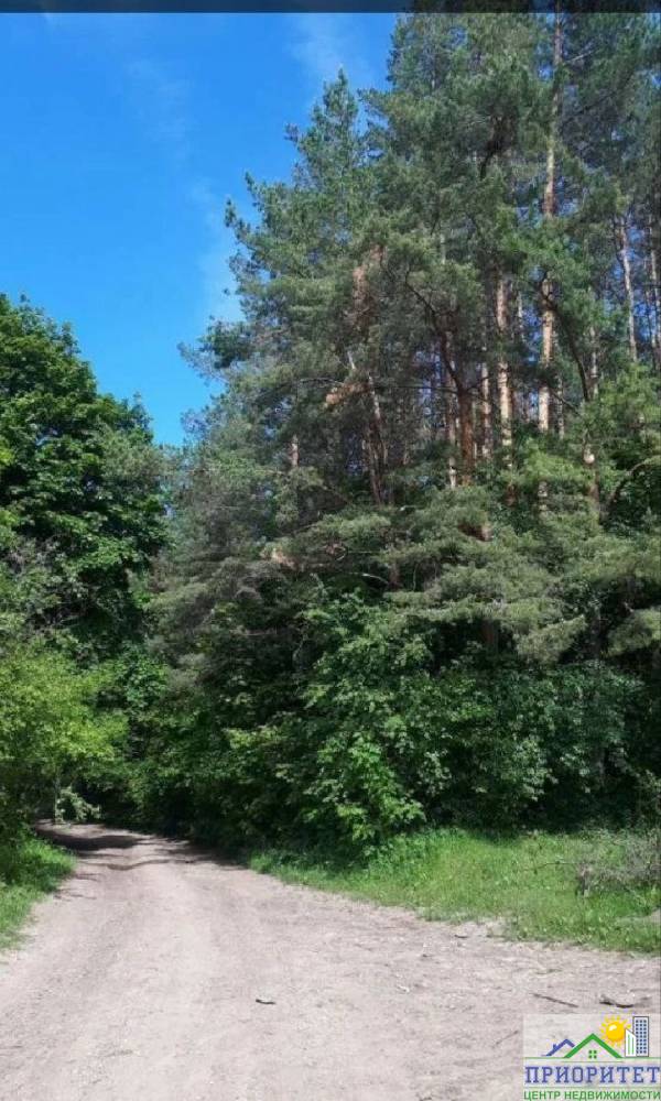 photo_5321307177026787422_y